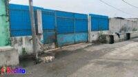 IMG-20250309-WA0402