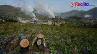 IMG-20250708-WA0315