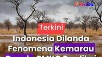 IMG-20250710-WA0686