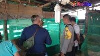 IMG-20250801-WA0484