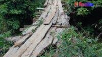 IMG-20251206-WA0373