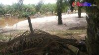 IMG-20260130-WA0374