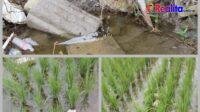 IMG-20260403-WA0186