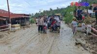 IMG-20260512-WA0126