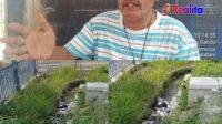 IMG-20260616-WA0247
